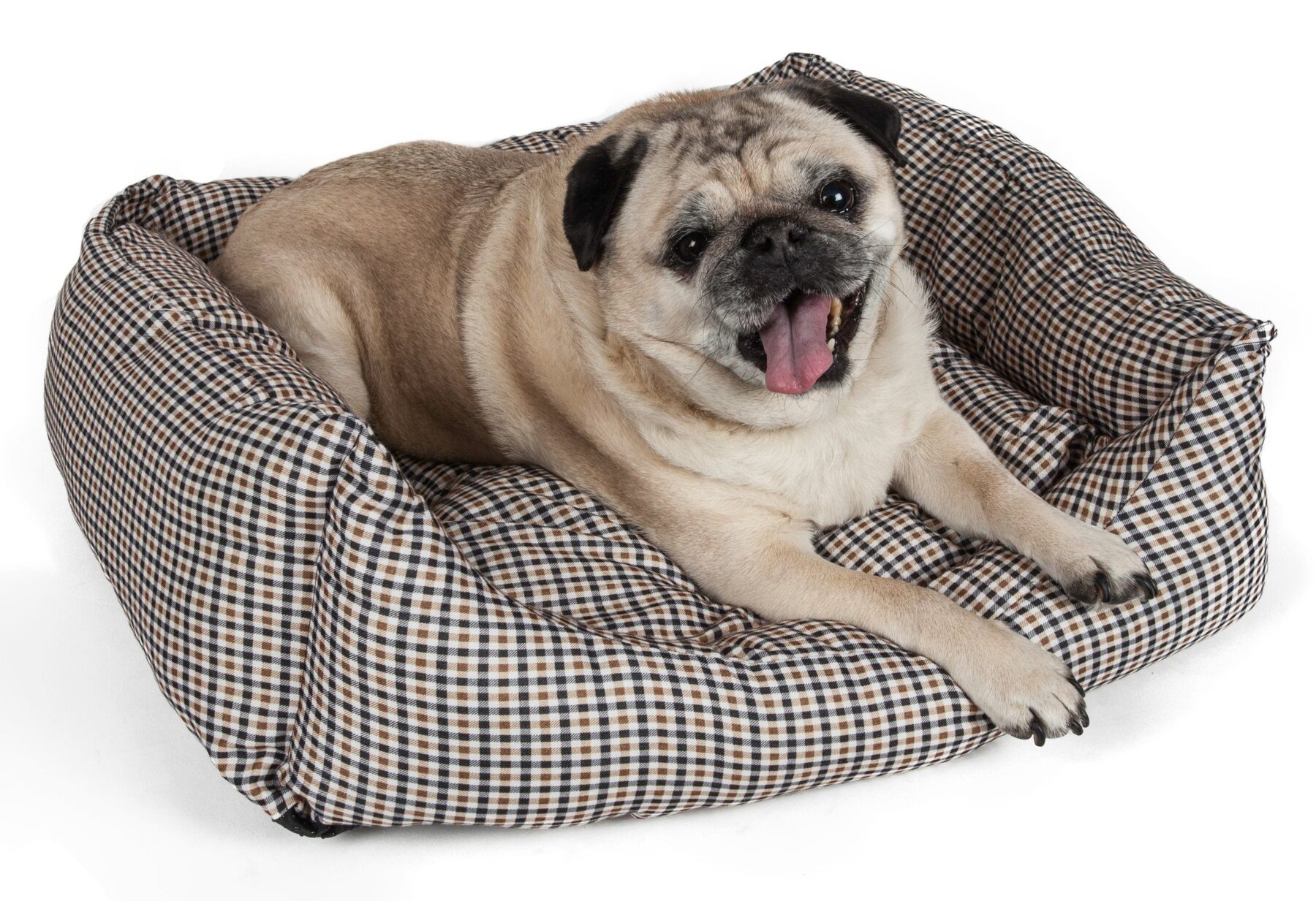 pet-bed-for-dogs